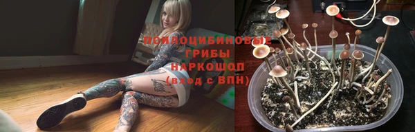 ПСИЛОЦИБИНОВЫЕ ГРИБЫ Баксан