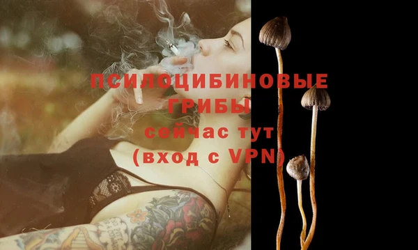 трава Балахна