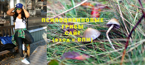 ПСИЛОЦИБИНОВЫЕ ГРИБЫ Баксан