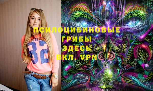 ПСИЛОЦИБИНОВЫЕ ГРИБЫ Баксан